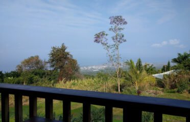 Aloha Kona Coffee Co