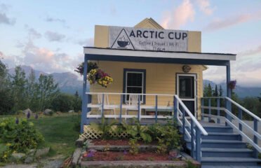 Arctic Cup