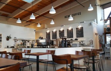 Avid Coffee