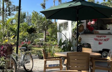 Banyan Cafe Fort Myers