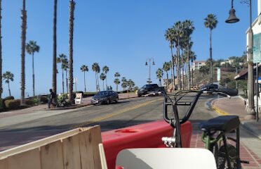 Bear Coast Coffee