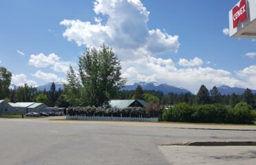 Bear’ly Awake Coffee Den