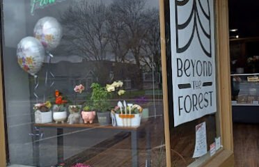 Beyond the Forest