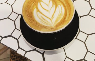 Bird & Branch Coffee Roasters