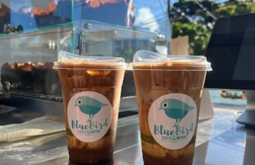 Blue Bird Kauai