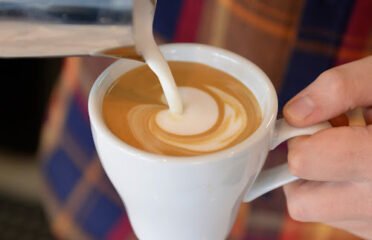 Borealis Coffee Company