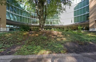 BranfordÃ¢â‚¬â„¢s Bean