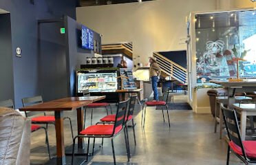 Brown Dog Coffeehouse