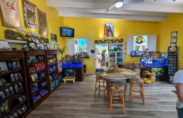 Buddha’s Cup Kona Coffee and Tea Farm