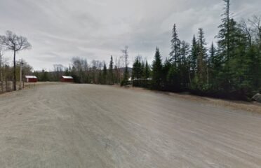 Bull Moose Cafe