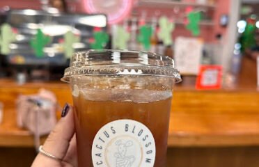 Cactus Blossom Coffee