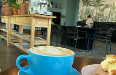 Cadejo Coffee