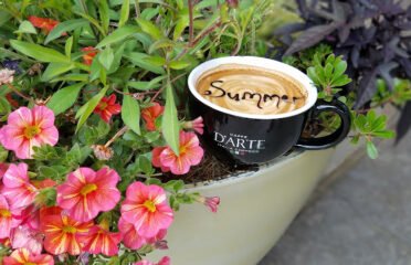 CaffÃƒÂ© DÃ¢â‚¬â„¢arte – Tehaleh CafÃƒÂ©