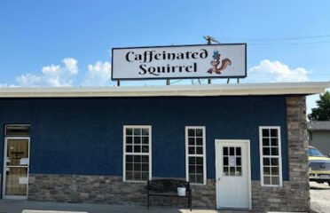 Caffeinated Squirrel