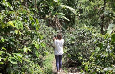 Caffeto International Trader LLC