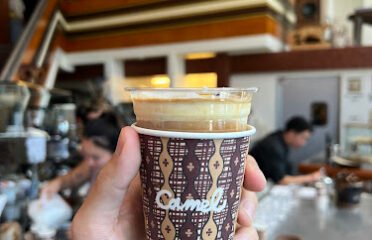 Camel