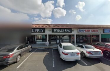 Chubbucks Coffee Shop