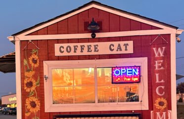 Coffee Cat