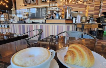 Coffee Plant Roaster