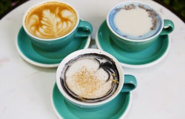 Coffee and Plants