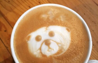 Cotati Coffee Company