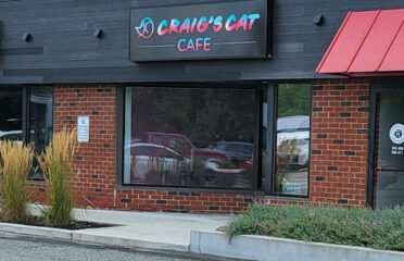 CraigÃ¢â‚¬â„¢s Cat Cafe