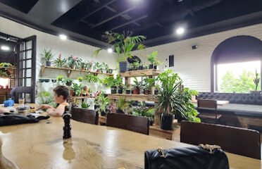 Curiouser Coffee and Conservatory