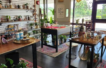 Curly Tail Coffee & gift shop