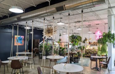 Dandy Lion Coffee Co.