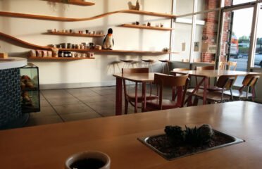 Dinosaur Coffee