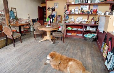 Elkspresso B&B