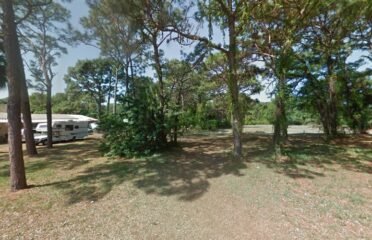 Empanadas Colombianas