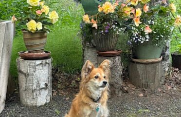 Flossie and Mays Coffee Shop