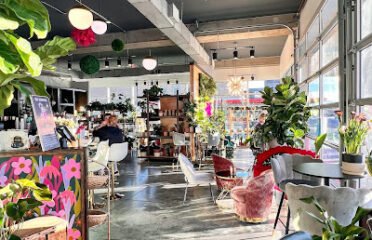 GROW Plant Bar
