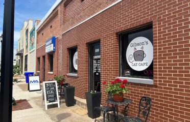 Gibson’s Cat CafÃƒÂ©