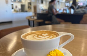 Gift Horse Bar & Cafe