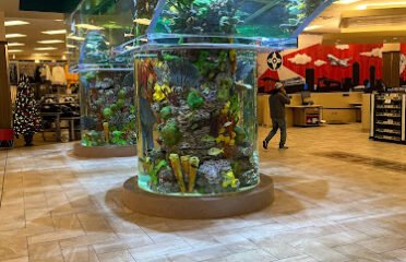 Ginna’s CafÃƒÂ© at SCHEELS