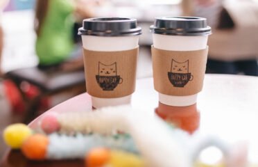 Happy Cat Cafe