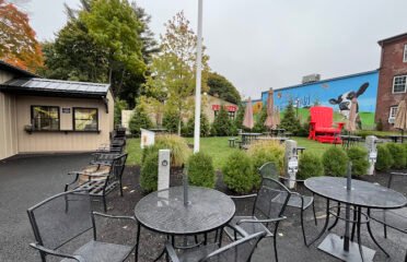 Hedgehog General Store