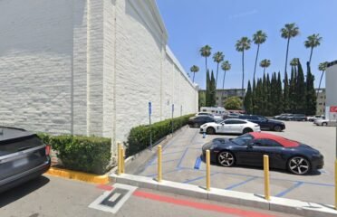 Hollywood Roastz