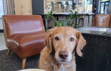 Humblemaker Coffee Co.