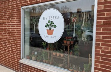 Ivy Terra Plant Cafe