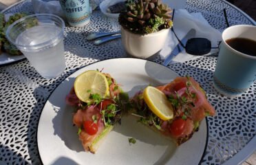 Java Earth Coffee North PB