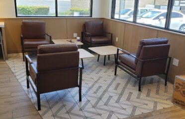 Joe Bean & Theo Leaf Corner