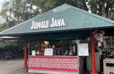 Jungle Java