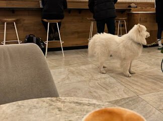 Le Cafe Coffee