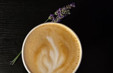 Lemon Tree PGH