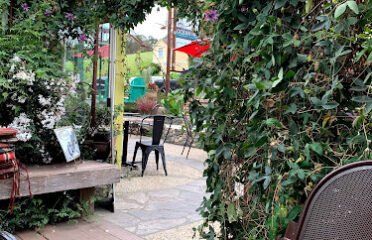 Lily’s Coffee House