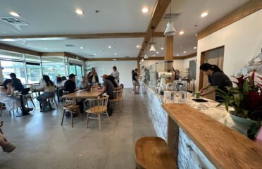 Little Ox Coffee