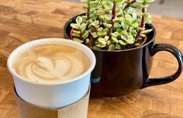 Live Oak Cafe